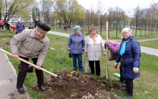 Комсомольский парк березники